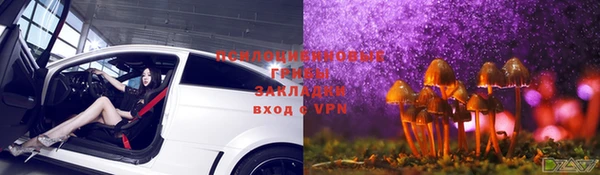 Альфа ПВП Няндома