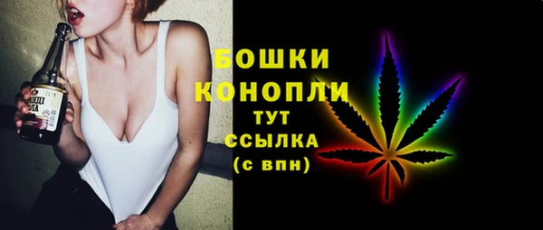 Альфа ПВП Няндома