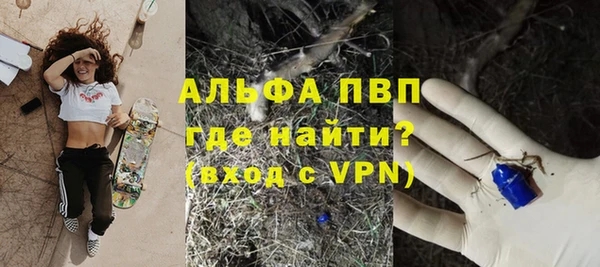 Альфа ПВП Няндома