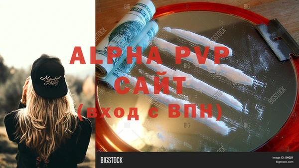 Альфа ПВП Няндома