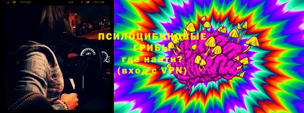 Альфа ПВП Няндома