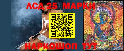 мет Можга