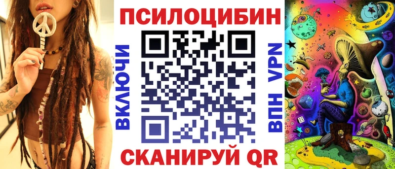 Псилоцибиновые грибы Psilocybine cubensis  Котлас 