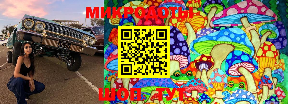 Альфа ПВП Котлас