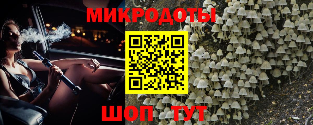 Псилоцибиновые грибы Psilocybe  Вход с VPN  Котлас 