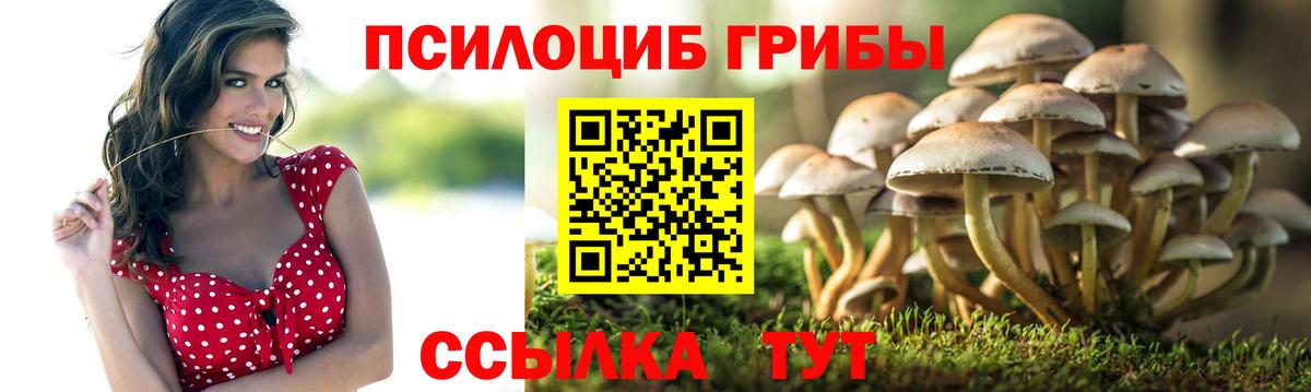 Псилоцибиновые грибы ЛСД Котлас