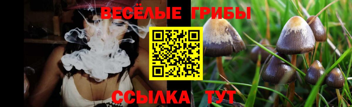 Псилоцибиновые грибы MAGIC MUSHROOMS Котлас