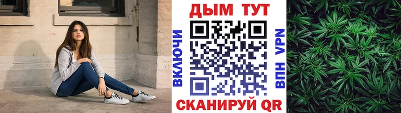 Бошки Шишки THC 21%  закладки  Котлас 