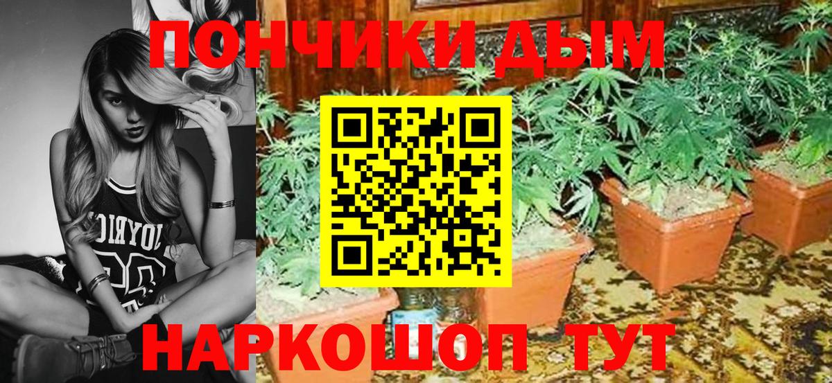 Конопля THC 21%  Канабис тримм  Бошки марихуана Amnesia  Котлас  Вход с VPN 